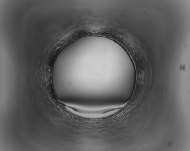 X0000097901349200804041428