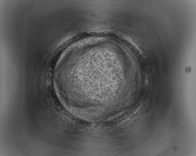 X0000097901350200804041428