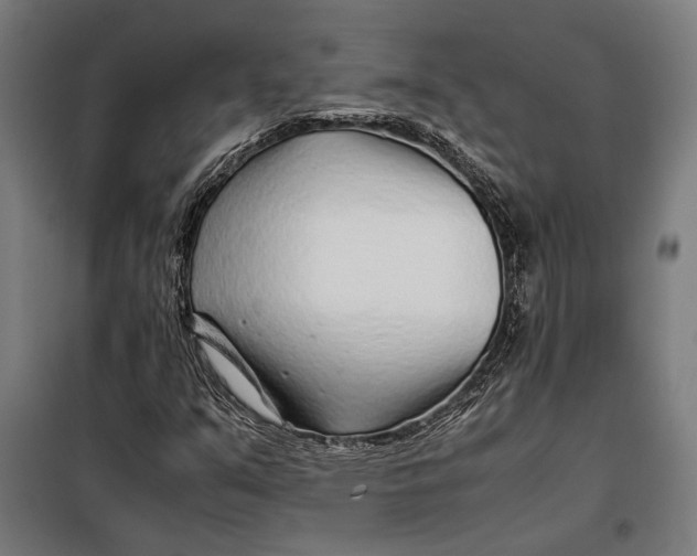 X0000097901351200804041428