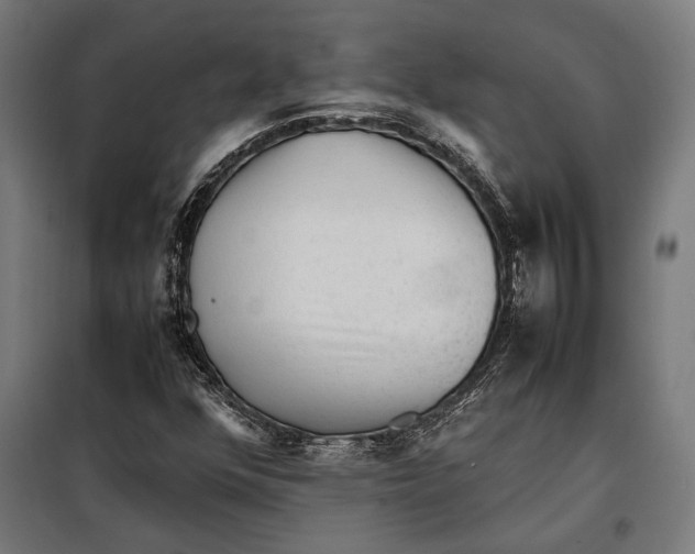 X0000097901352200804041428