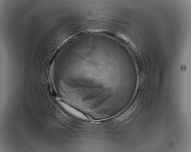 X0000097901353200804041428