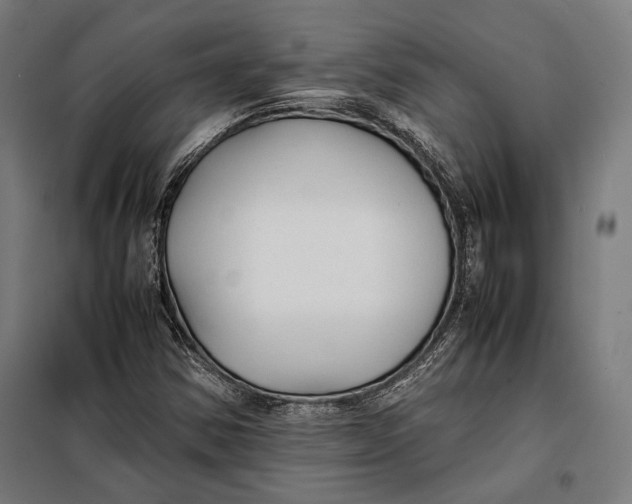 X0000097901354200804041428