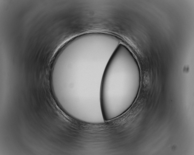 X0000097901356200804041428