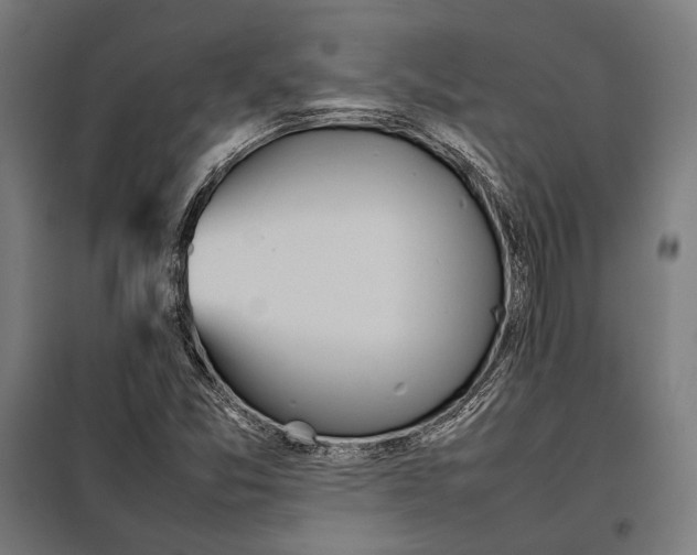 X0000097901357200804041428