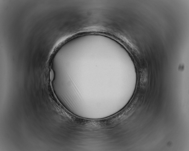 X0000097901358200804041428