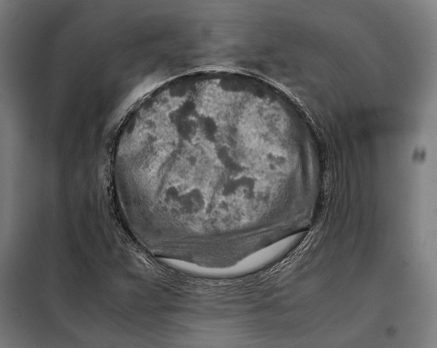 X0000097901359200804041428