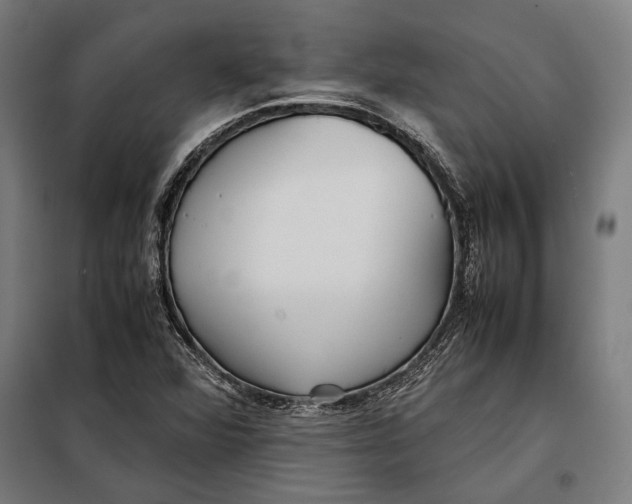 X0000097901360200804041428