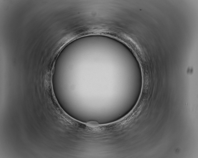 X0000097901361200804041428