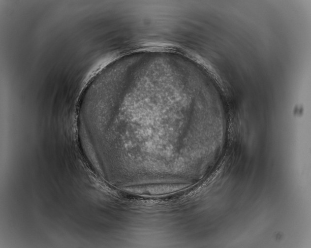 X0000097901362200804041428