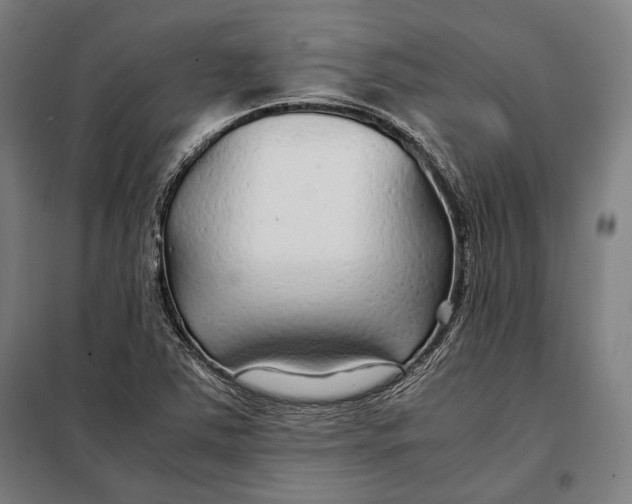 X0000097901363200804041428