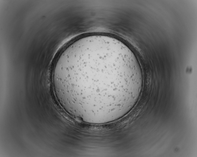 X0000097901364200804041428