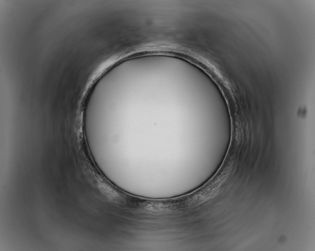 X0000097901366200804041428