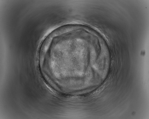 X0000097901367200804041428