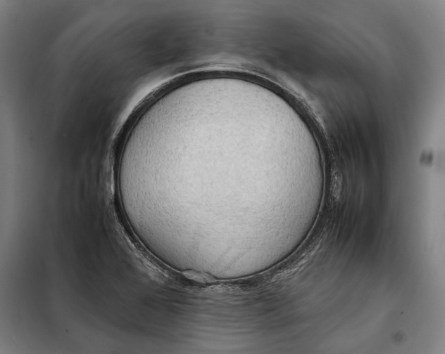 X0000097901368200804041428