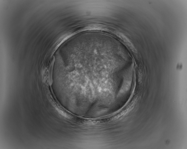 X0000097901369200804041428