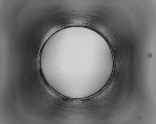 X0000097901370200804041428