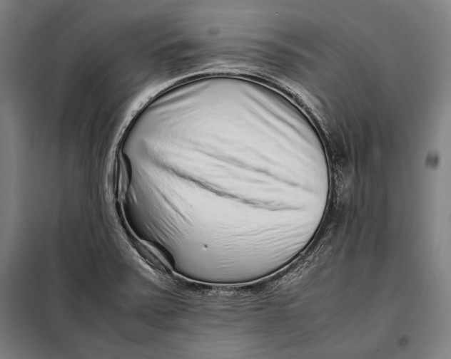 X0000097901371200804041428