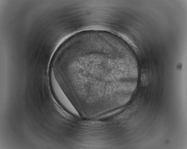 X0000097901372200804041428