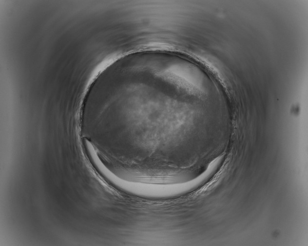 X0000097901373200804041428