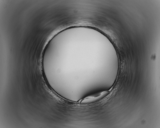 X0000097901374200804041428