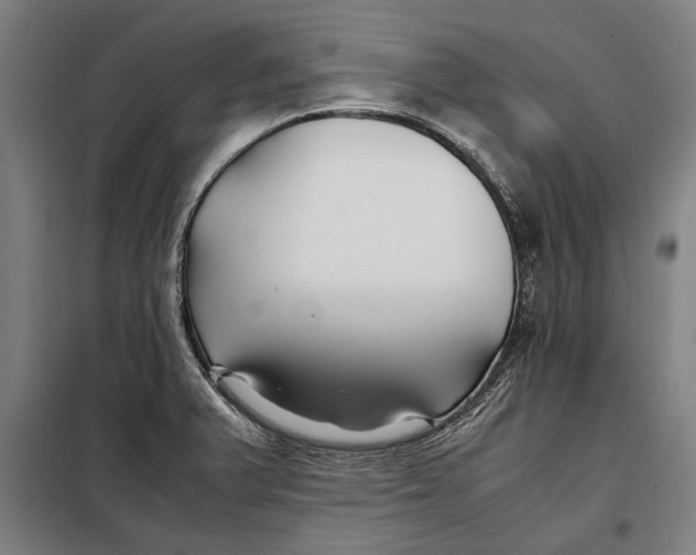 X0000097901375200804041428