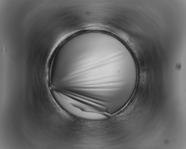 X0000097901376200804041428