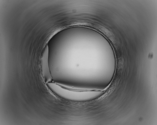 X0000097901377200804041428