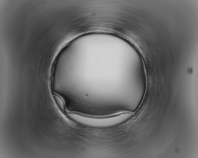 X0000097901379200804041428