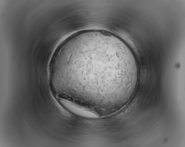 X0000097901380200804041428