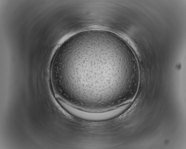 X0000097901381200804041427