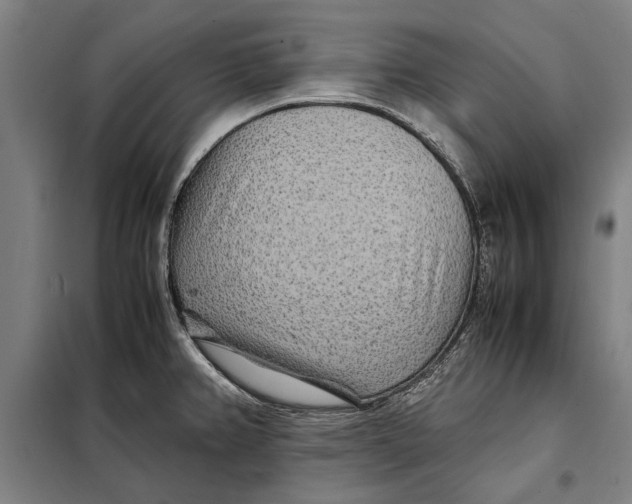 X0000097901382200804041427