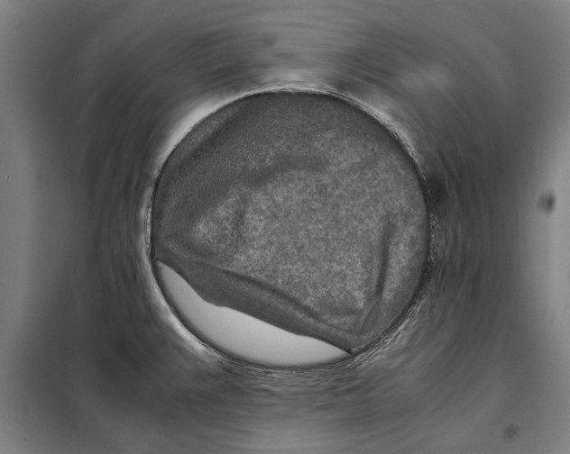 X0000097901383200804041427