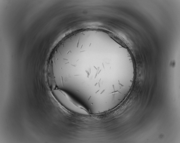 X0000097901384200804041427