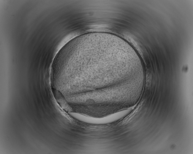 X0000097901386200804041427