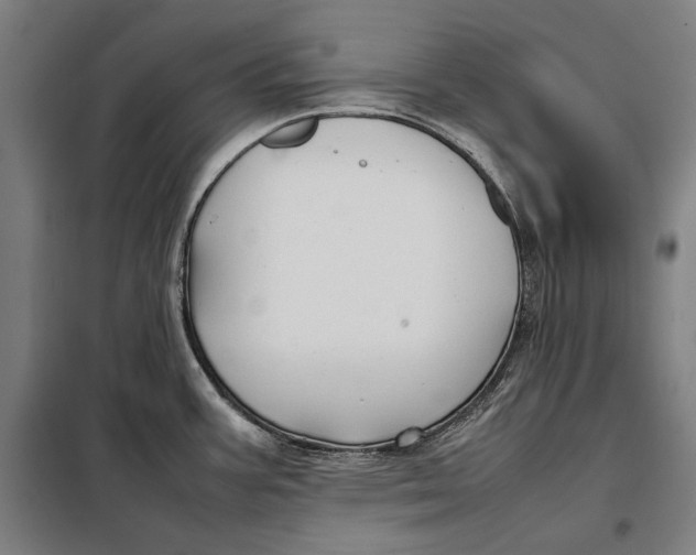 X0000097901387200804041427