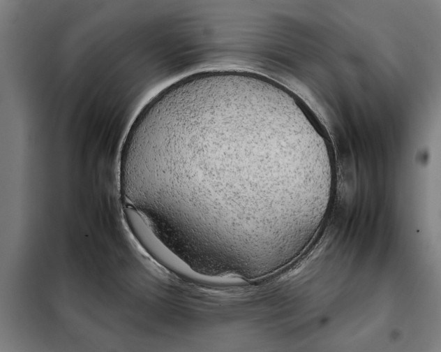 X0000097901388200804041427