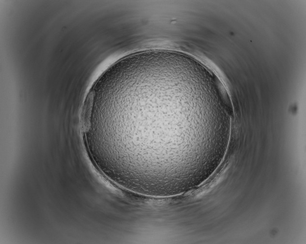 X0000097901389200804041427