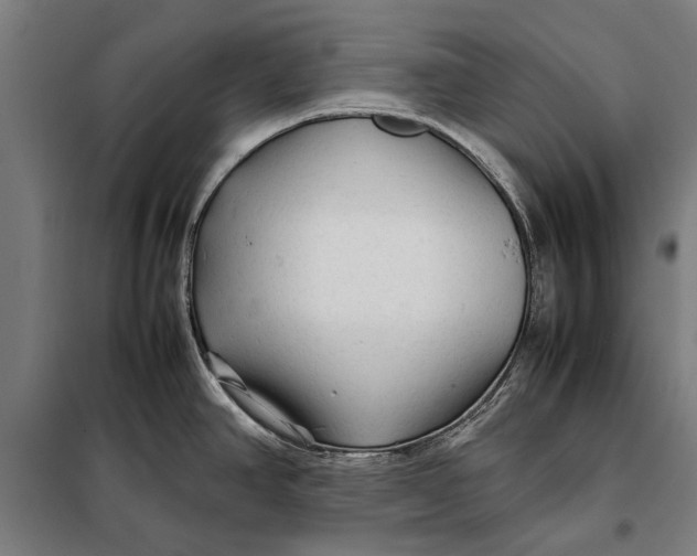 X0000097901390200804041427