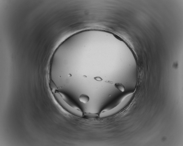 X0000097901391200804041427