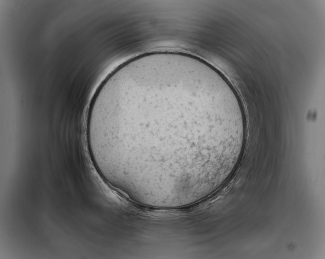 X0000097901392200804041427