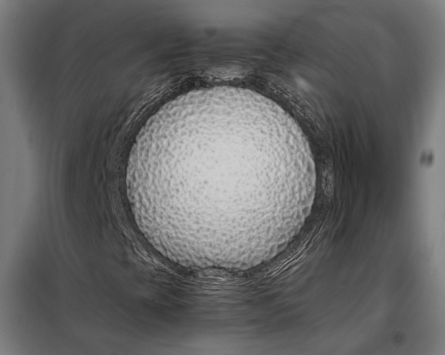 X0000097901393200804041426