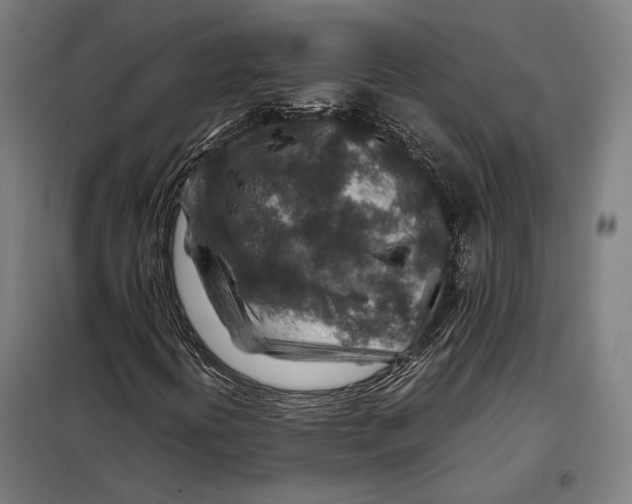 X0000097901394200804041426