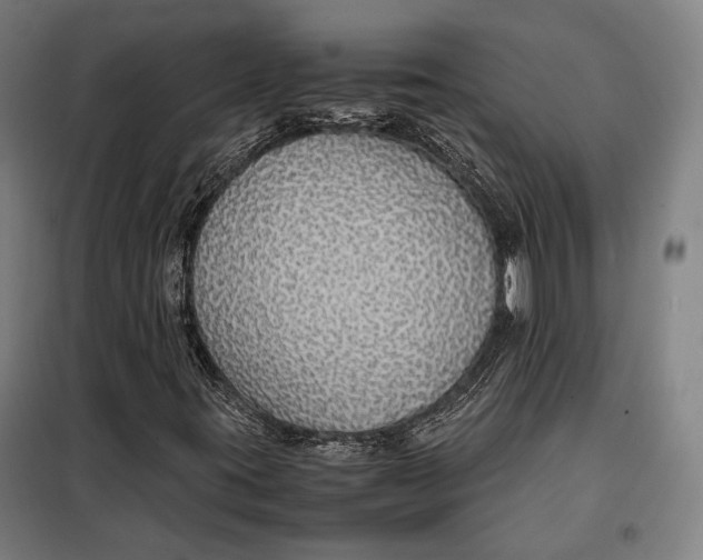 X0000097901395200804041426