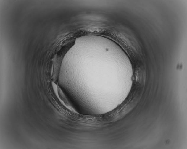 X0000097901396200804041426