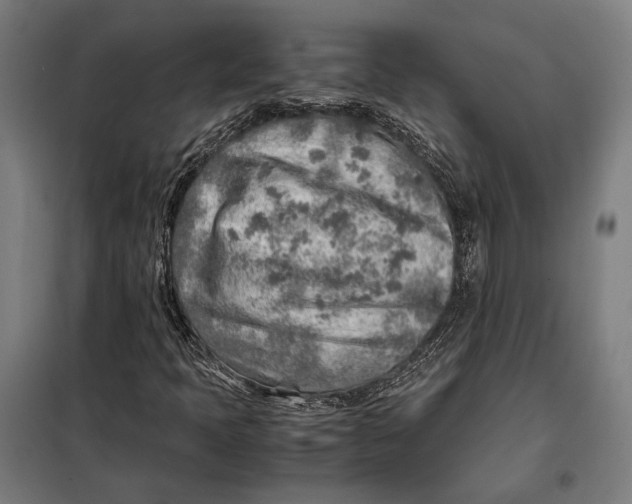 X0000097901397200804041426