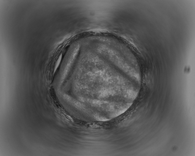 X0000097901398200804041426