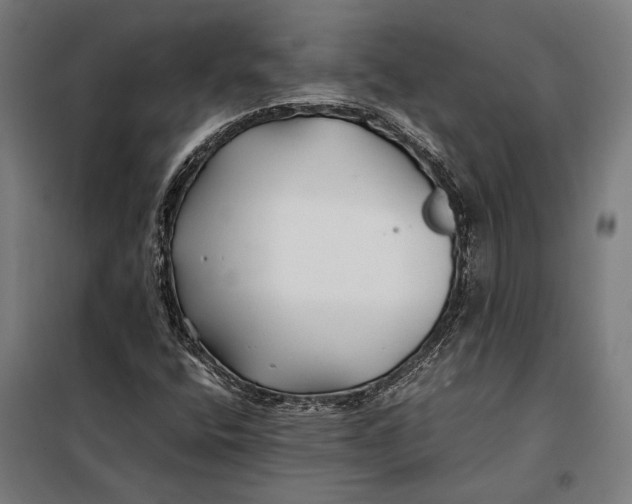 X0000097901400200804041426