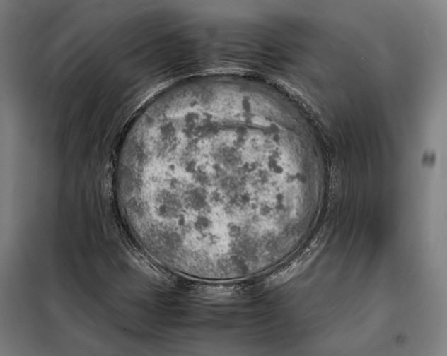 X0000097901401200804041426