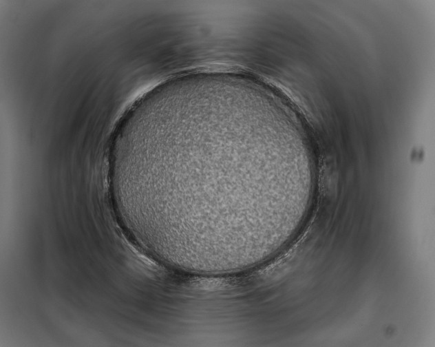 X0000097901402200804041426