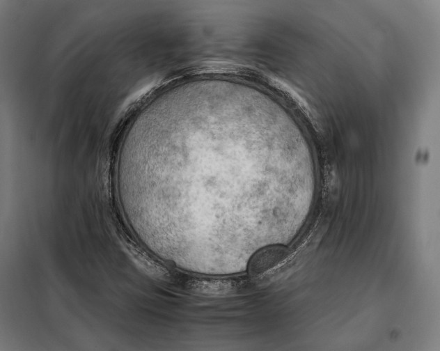 X0000097901403200804041426